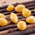 Healthy Chinese Snack vacuum Fried Gingko